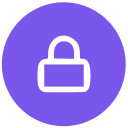 Data Security Icon